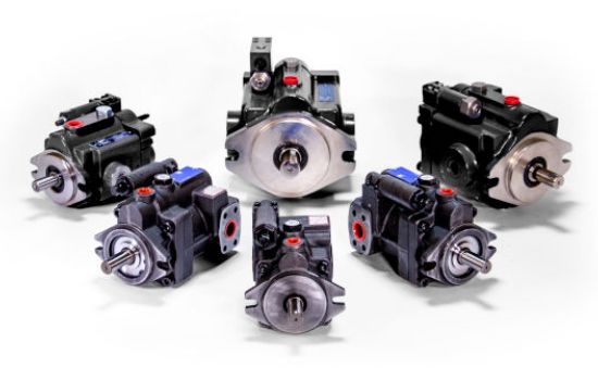 case study image