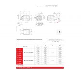 Casappa Formula 20 Series (SFP) image