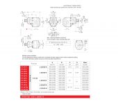 Casappa Formula 30 Series (SFP) image