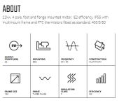 22.043TECAB35-IE2, 22Kw, 4 Pole, IE2, Foot & Flange Mounted Motor image